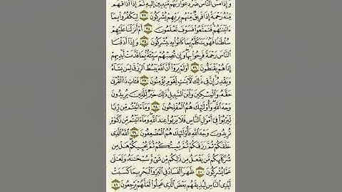 سورة الروم من الآية ٣٣ إلى الآية ٤١بصوت القارئ ماهر المعيقلي