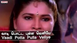 Video thumbnail of "Vaadi Potta Pulla Lyrical - Kaalam Maari Pochu Movie Songs | Pandiarajan | V Sekar | Deva"