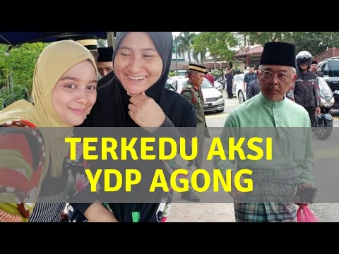 Video: Kejutan Demi Kemalangan