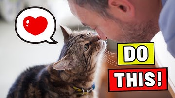 10 Ways to Tell Your Cat YOU LOVE THEM (in a Language THEY UNDERSTAND)
