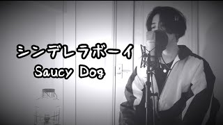 シンデレラボーイ / Saucy Dog (原曲キー) 【フル歌詞付き】 しゅん - ｼｽﾞｸﾉﾒ -