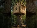 I went to the forest and built a TREE HOUSE. Fascinating construction!