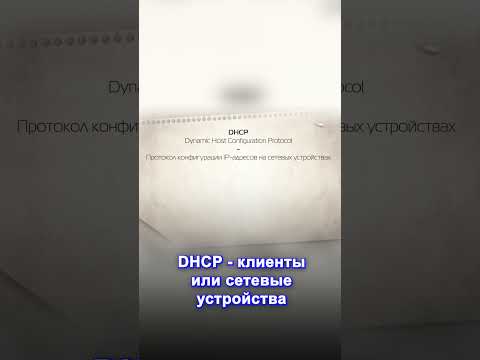 DHCP и DNS: Ключевые инструменты сетевой связи #DHCP #DNS #сети