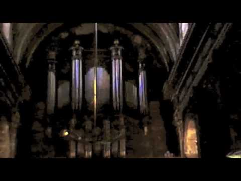 36 Pipe organ, Basilique Notre-Dame la Daurade, Toulouse, France