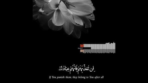 سورة المائدة الآيه ( 118)