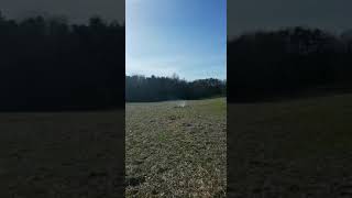 5,6 cm Mill.Me Kr/äuterm/ühle 4 St/ück Inklusive geruchsdichter Aufbewahrungsbeh/älter
