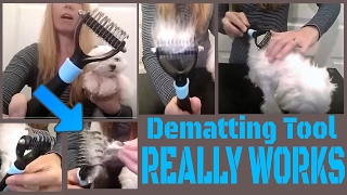 DeMatting Grooming Tool for Dogs & Cats by Oneisall Review! ONE YEAR Guarantee! screenshot 3