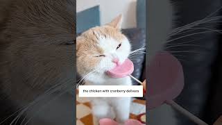 Why This Cat Treat Looks So Tasty!!