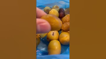 Fresh Dates! #dates  #palmfruit #freshfruit #shorts #shortvideo #qatar