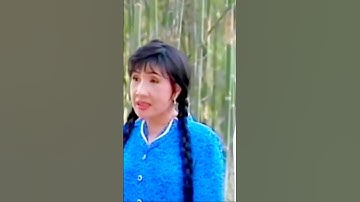 Lệ Thủy hát cùng Minh Vương điệu vọng kim lang quá hay trong cải lương ngậm ngùi | #shorts