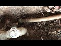 New water line, Smyrna, GA 30080