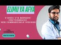 VYANZO VYA MARADHI YASIYOAMBUKIZA: Sababu Kubwa Zinazoharibu Afya Bila Kujua!