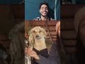 TRY NOT TO LAUGH CHALLENGE 🤣 | Wait For End #funny