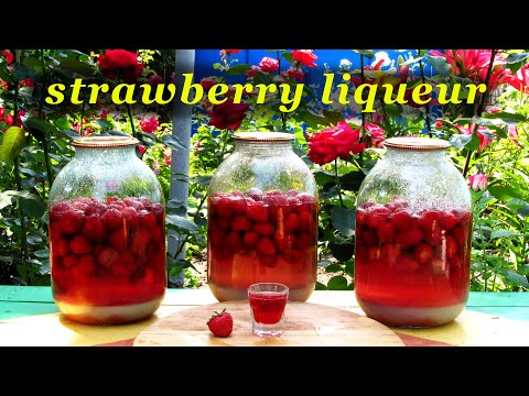 How to make strawberry liqueur, a simple recipe