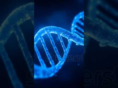 مجموع طول  بدن انسان چقدره