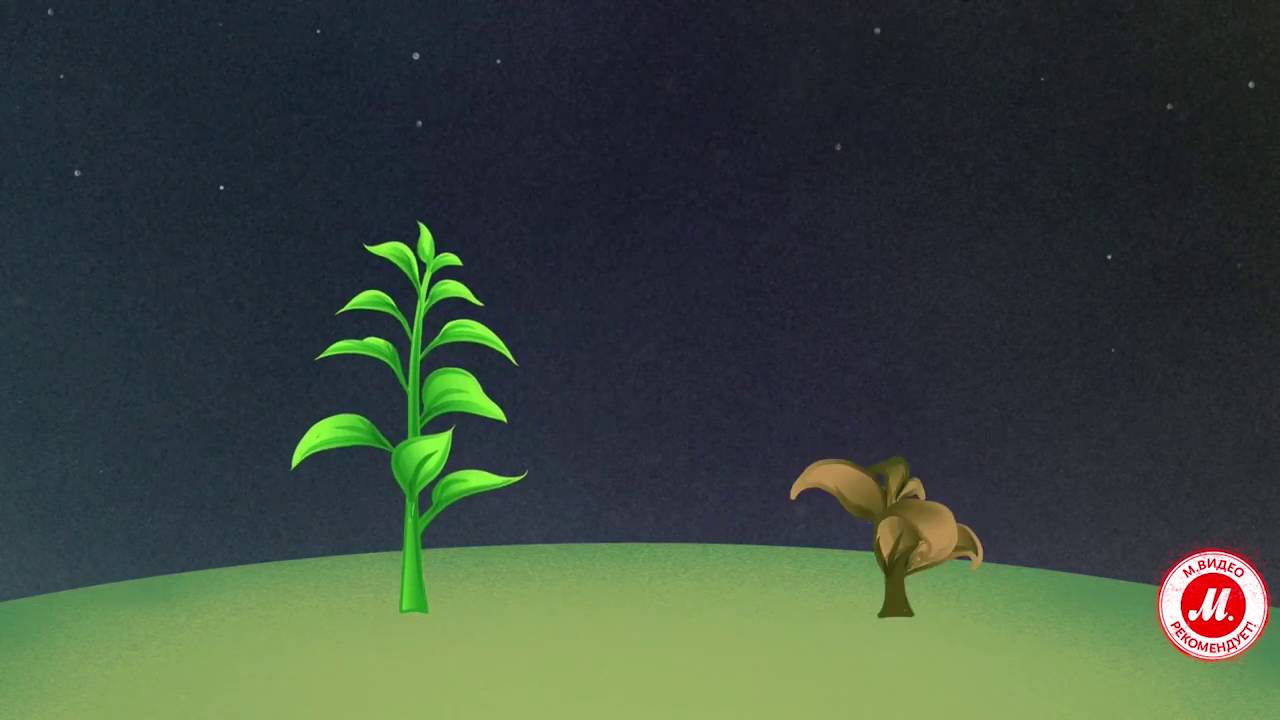 Смартфон LG X Power: невероятно ёмкая батарея