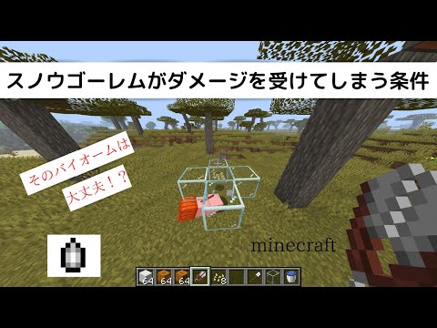 マインクラフト】スノウゴーレムがダメージを受けてしまう条件を紹介 