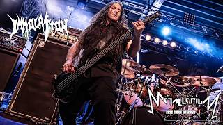 Interview with Immolation (Ross Dolan(