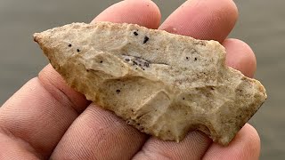 Arrowhead hunting the Ohio River. During the dog days of August.