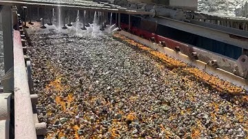 Yong Won - Vibrating screen technology