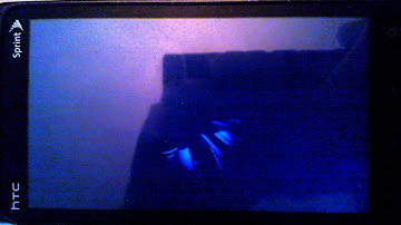 Sprint-Bootanimation.mp4