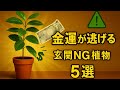 玄関に置いたら逆効果⁉ 金運を下げる観葉植物NG５選