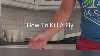 How To Kill A Fly