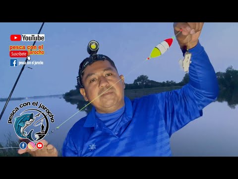 Video: Consejos para pescar bagres en lagos