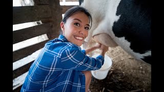 Morena Tirando Leite Da Vaquinha - Veja Como É A Vida No Campo
