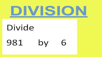 Divide     981      by     6