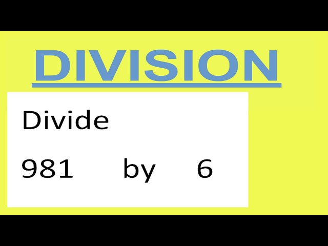 Divide     981      by     6 class=