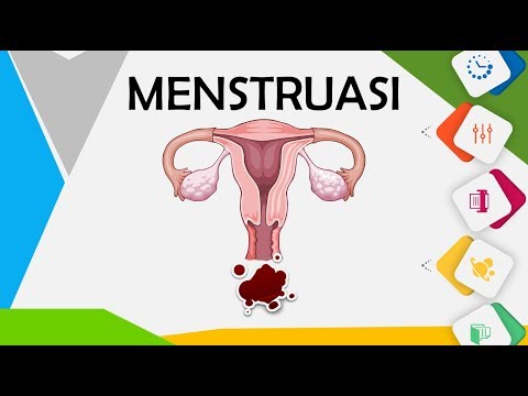 Video: Tahap Kitaran Menstruasi: Menstruasi, Ovulasi, Hormon, Mor