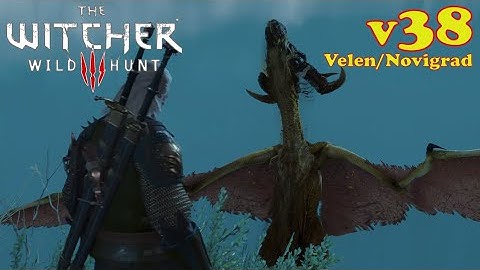Witcher 3 Gameplay Walkthrough No Commentary - Video 38 Velen/Novigrad (PS5 4K 60fps)