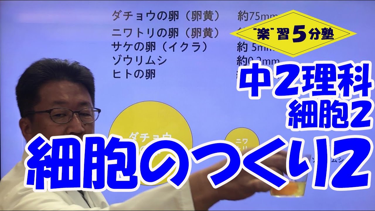中２理科 動物 細胞２ 細胞のつくり 植物細胞だけにあるもの 葉緑体 液胞 細胞壁 Youtube
