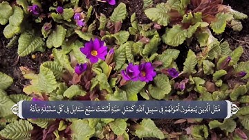 نام های الله متعال در قرآن آیه 261  سوره بقره