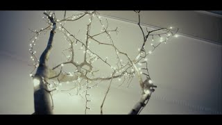 Cena Natale 2024 Gruppo Pluriservice