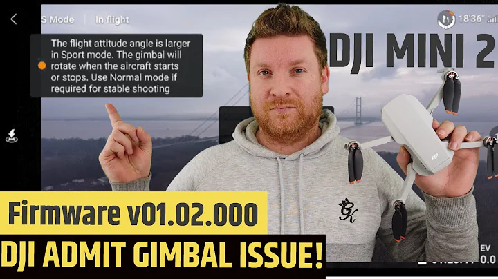 DJI MINI 2 - DJI FINALLY ADMIT GIMBAL ISSUE !