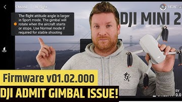 DJI MINI 2 - DJI FINALLY ADMIT GIMBAL ISSUE !