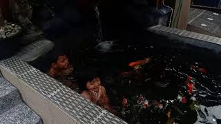 story wa pendek berenang di kolam koi