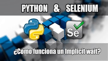 Cap #11 | Curso Python con Selenium | Como usar Implicit Wait
