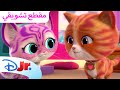 الفأر العملاق القطط الصغيرة الخارقة ديزني جونيور بالعربي