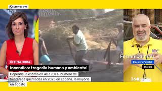 20250822 Entrevista Ferran Dalmau Rovira RTVE IIFF