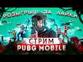 КАЧАЕМ ЗАВИКА НА СТРИМЕ/СТРИМ PUBG MOBILE/РОЗЫГРЫШИ/АЙПАД/90ФПС/РАСКИДЫВАЕМ ПАБЛИК