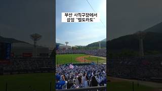 부산 사직구장에서 삼성 &quot;엘도라도&quot; #클래식시리즈