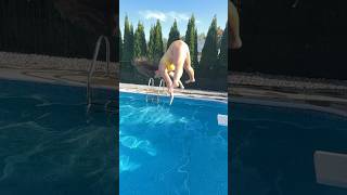 Splits Jack Knife Dive Into The Swimming Pool With Toe Touch