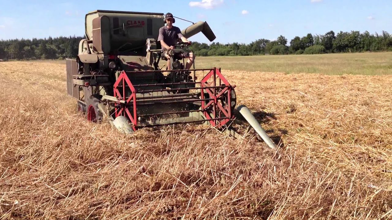 Claas Columbus beim Hafer dreschen 2013 in Nordfriesland