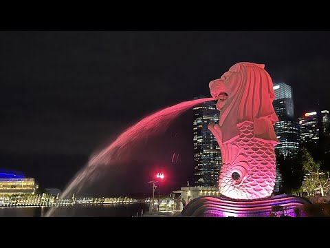 Video: Malezya'da Tarik Siparişi Verme & Singapur