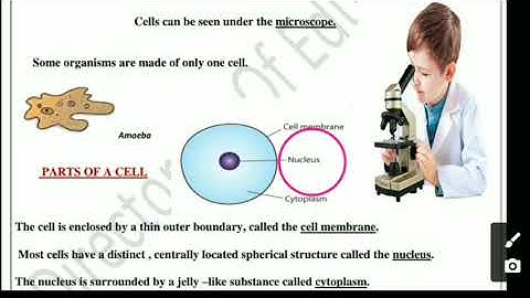 Class 7 Science Worksheet 15 English Medium 7/9/2021@SmartlearningScience