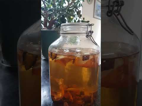 Liquid Fertilizer from