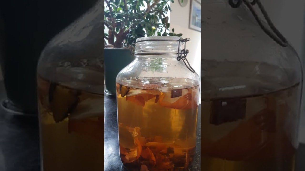 Liquid Fertilizer from kitchen scraps: free nutritious plant food